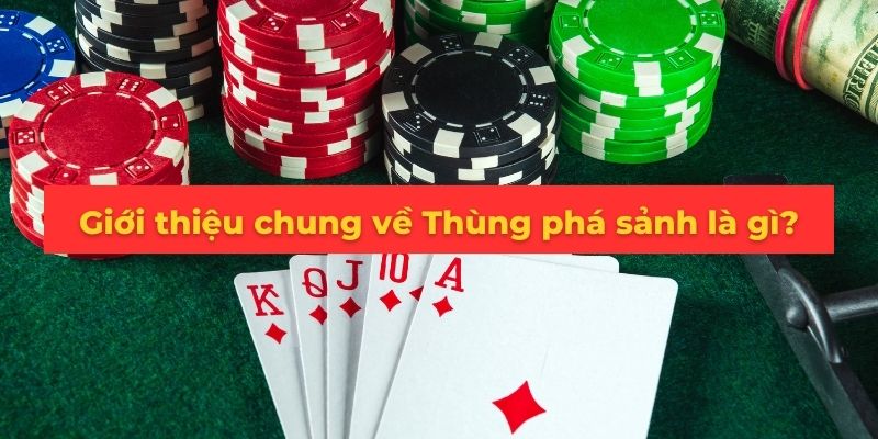 Win55 giải đáp thắc mắc về thuật ngữ "thùng phá sảnh là gì?"