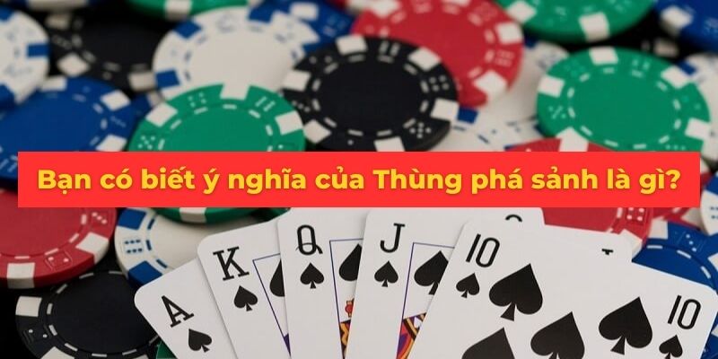 Ý nghĩa của thùng phá sảnh trở thành đề tài thu hút sự tò mò