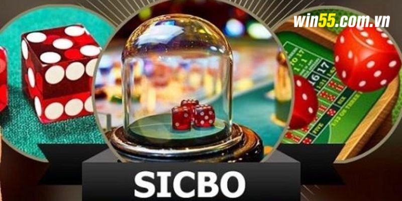 Tìm hiểu tất tần tật về cổng game đổi thưởng Sicbo Online