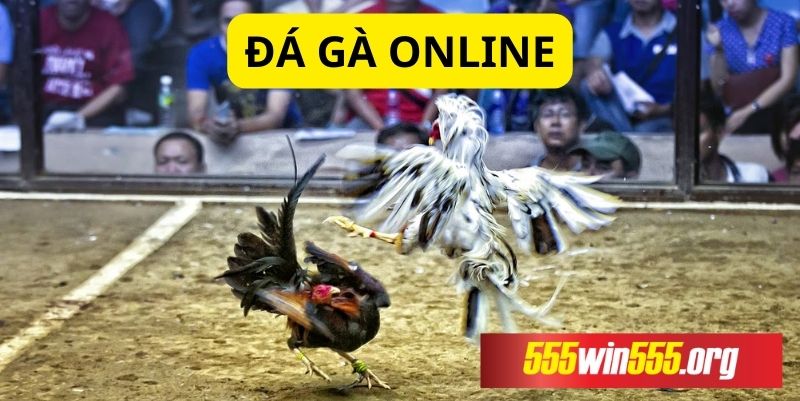 Đá gà Online - Tìm hiểu ưu điểm vượt trội mà nó sở hữu