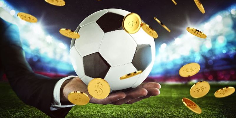 Kinh nghiệm đánh cược kèo draw no bet cực chuẩn