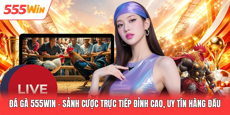Đá Gà 555win - Sảnh Cược Trực Tiếp Đỉnh Cao, Uy Tín Hàng Đầu