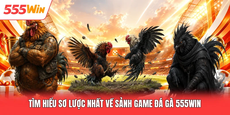 Tìm hiểu sơ lược nhất về sảnh game đá gà 555win